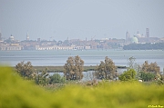 Parco San Giuliano  - 205